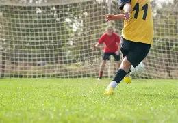 拉波爾塔親,自主導尼科,洽談,开云体育,开云体育官网,开云体育app,开云体育app下载