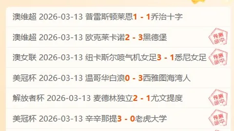 楊政力挺國籃清白：堅守正道，與親父母共築家業