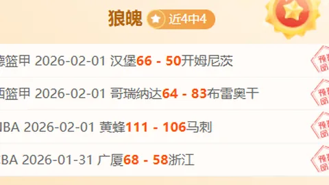 大乐透期号专家质合分析，前区十码推荐及比分解析：越南女VS印