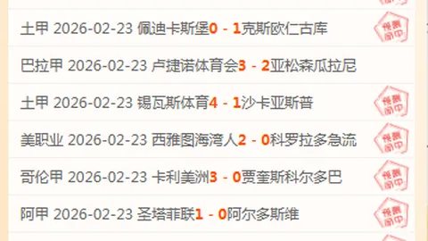 布里斯班狮吼对阵悉尼FC 专家推荐及质合分析